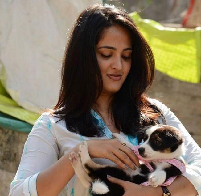 PHOTOS: Indian Celebrities With Their Super Adorable Pets
