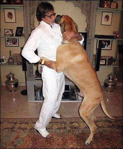 PHOTOS: Indian Celebrities With Their Super Adorable Pets