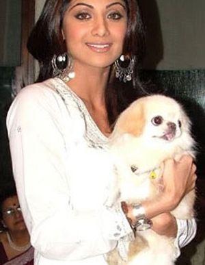 PHOTOS: Indian Celebrities With Their Super Adorable Pets