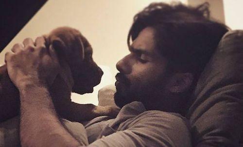 PHOTOS: Indian Celebrities With Their Super Adorable Pets