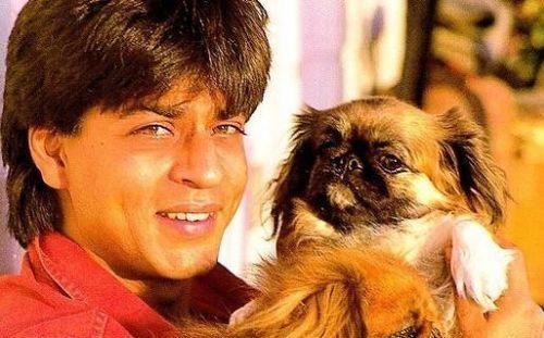 PHOTOS: Indian Celebrities With Their Super Adorable Pets