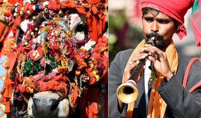 PHOTOS: Makar Sankranti 2018 Celebration in Warangal