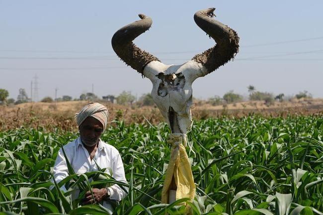 PHOTOS: These things that happen only in India will keep you ROFL