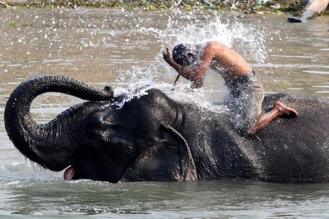 PHOTOS: These things that happen only in India will keep you ROFL