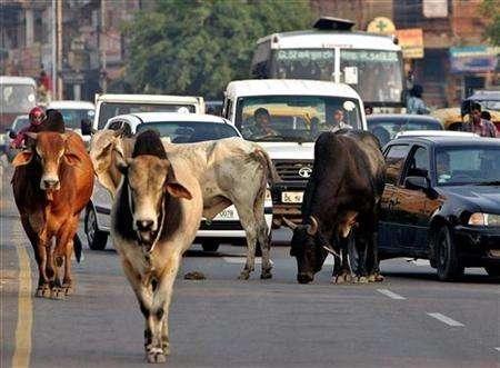 PHOTOS: These things that happen only in India will keep you ROFL