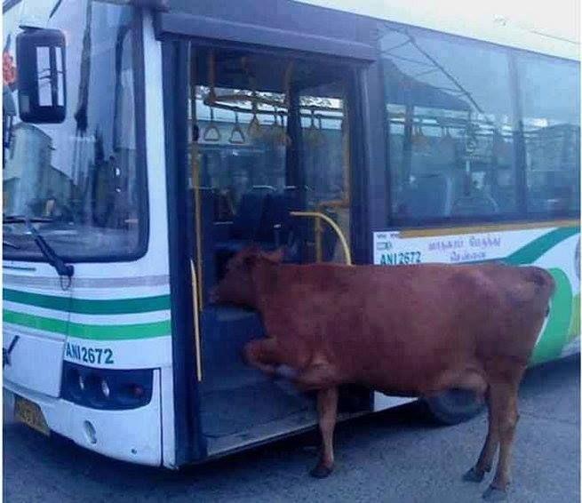 PHOTOS: These things that happen only in India will keep you ROFL