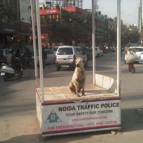 PHOTOS: These things that happen only in India will keep you ROFL