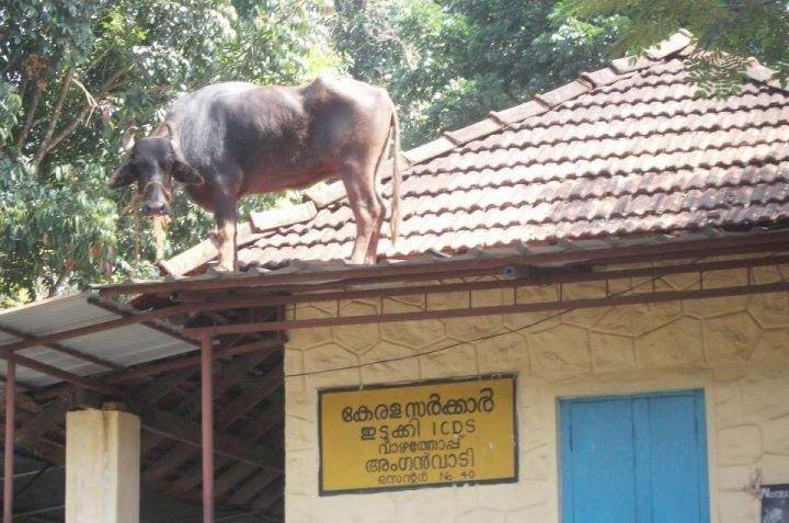 PHOTOS: These things that happen only in India will keep you ROFL