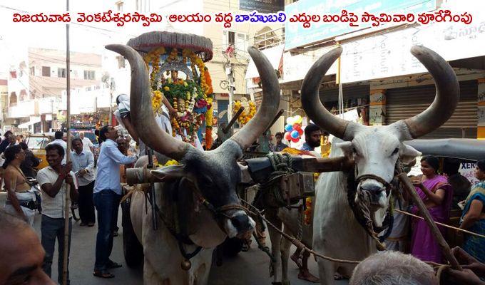 PHOTOS: Vaikunta Ekadasi Celebrations in Telugu States