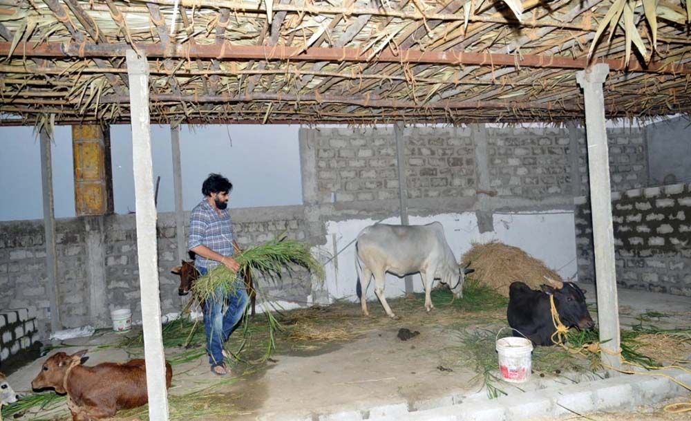 Pawan Kalyan Farm Work in His Farm House