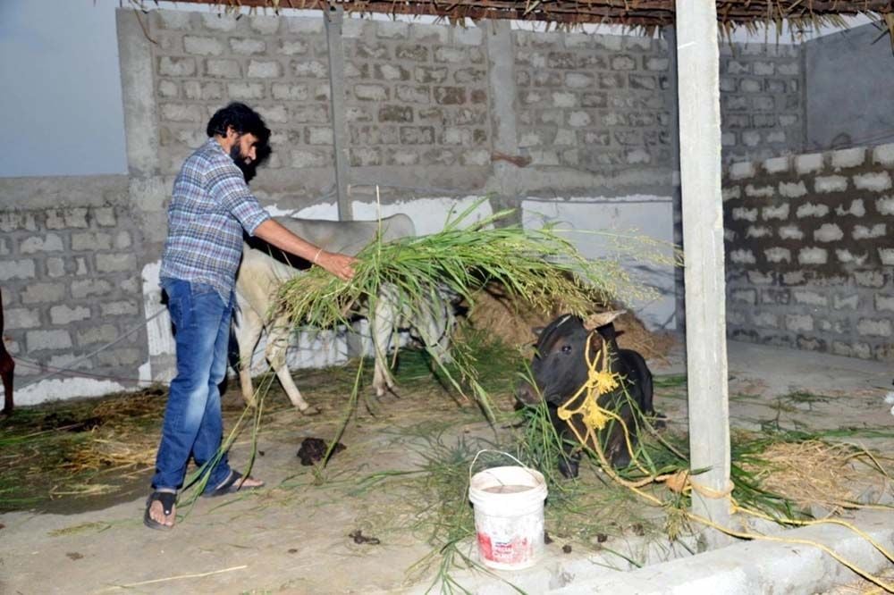 Pawan Kalyan Farm Work in His Farm House