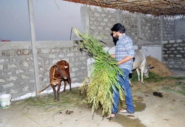 Pawan Kalyan Farm Work in His Farm House