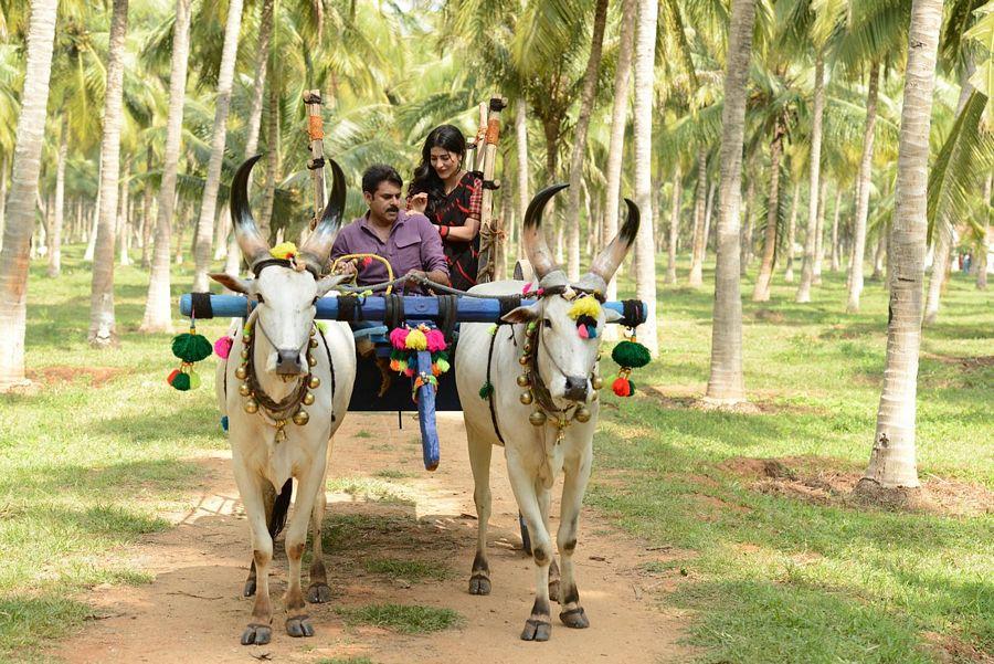 Pawan Kalyan Katamarayudu Movie Latest HD Photos