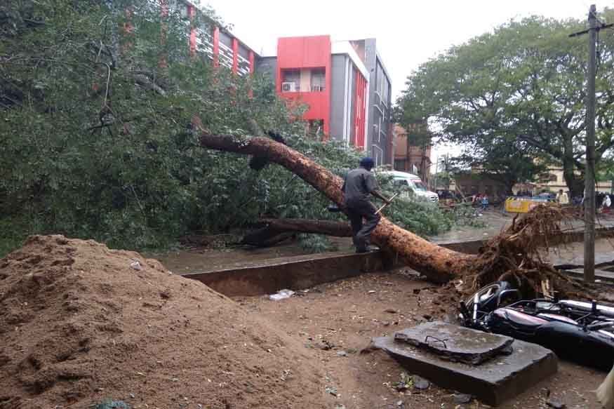 Pethai Cyclone Effect Photos In Andhra Pradesh