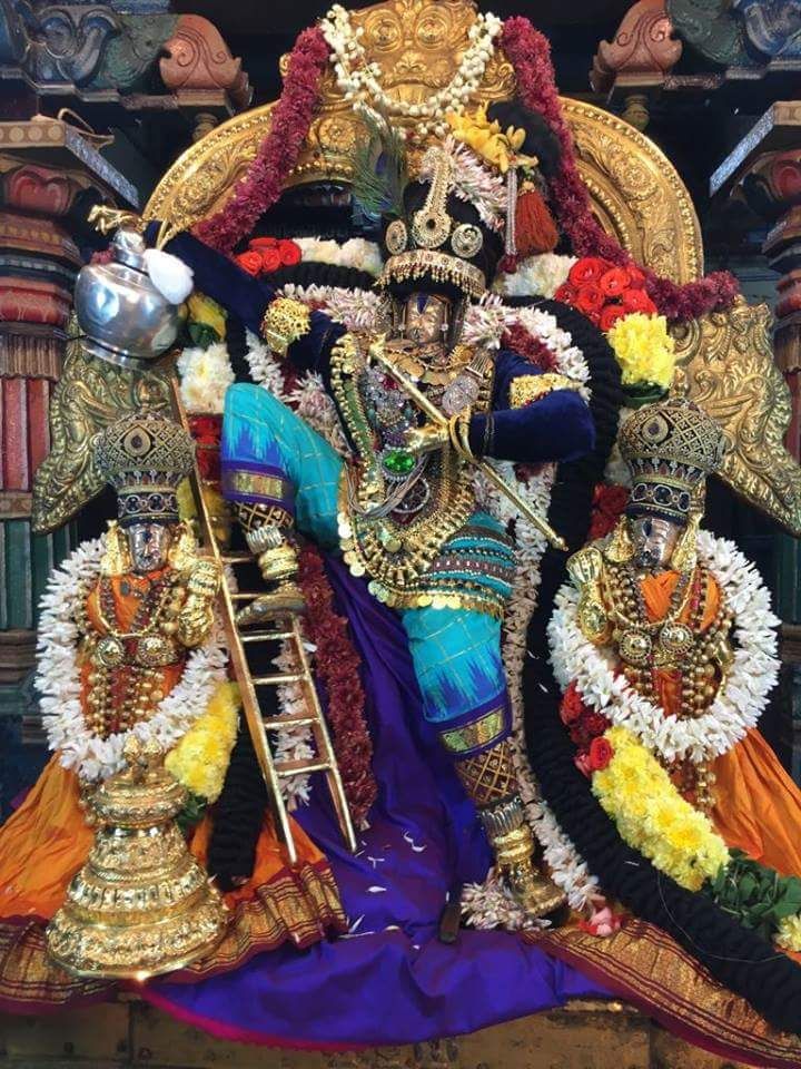 Pushpayagam at Sri govindaraja swamy vari temple tirupathi