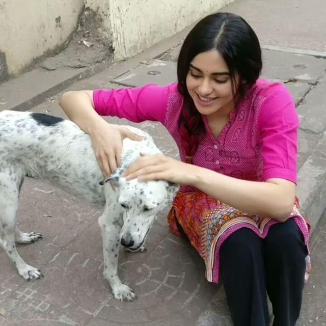 a sample image