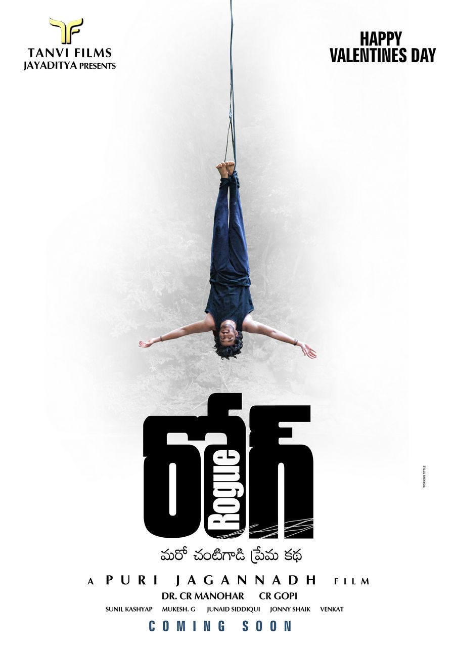 Rogue Movie Working Stills