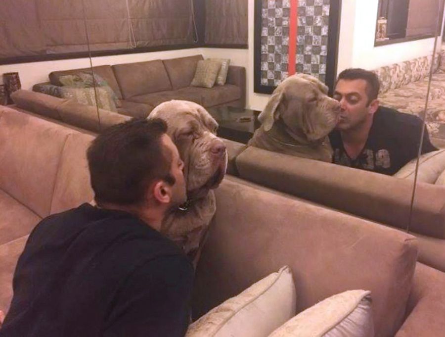 Salman Khan Luxury House Inside Views Photos