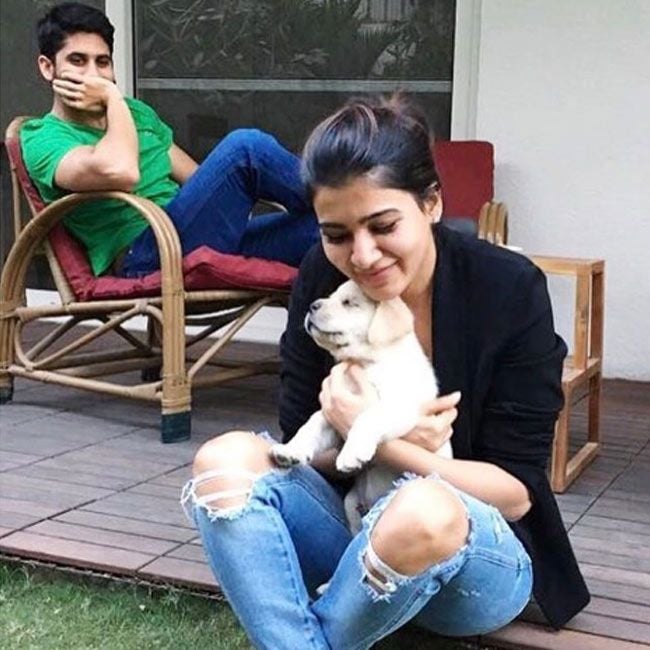 Samantha Ruth Prabhu & Naga Chaitanya Exclusive Photos