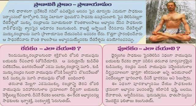 Simple Mudras for Healthy Life Style