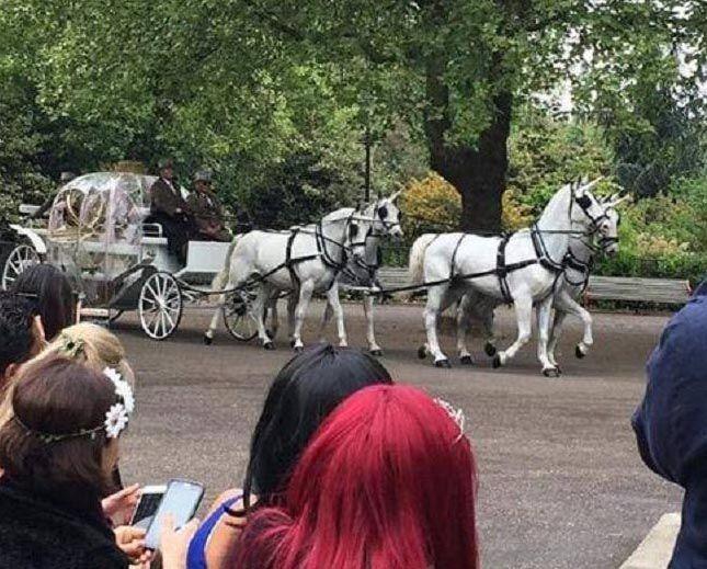 Sofia Hayat Gets Married In Grand Affair Photos