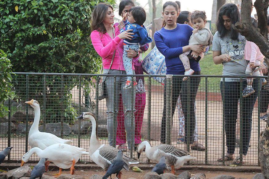 Spotted: See Cute Pictures of Bollywood Celebrities and Their Kids