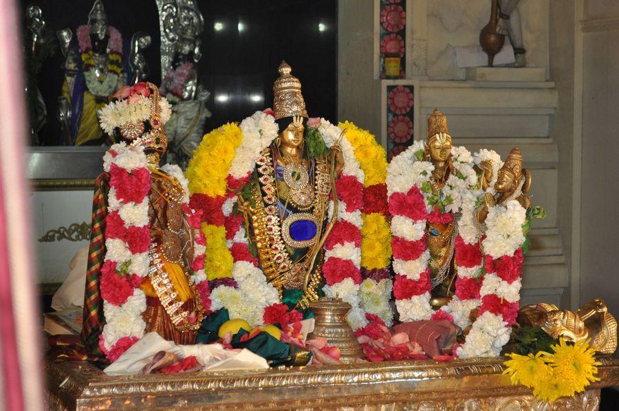 Sri Rama Navami Celebrations Photos