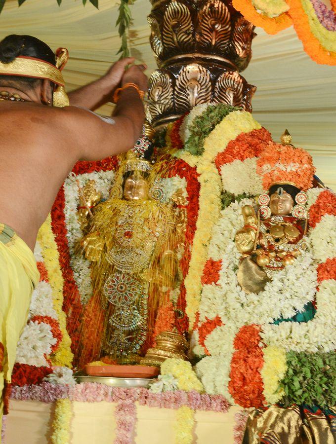 Srivari Kalyana Mahotsavam 2017 Photos