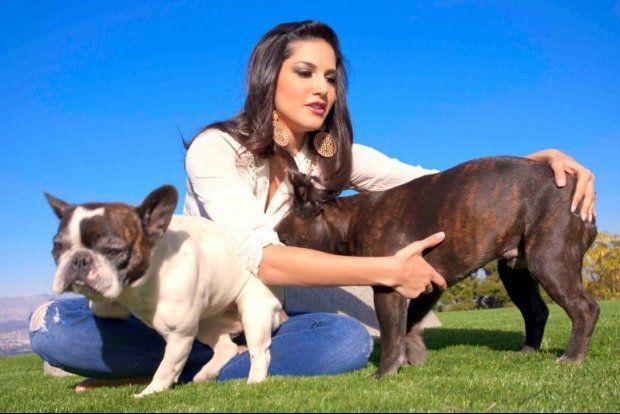 Sunny Leone With Her Dogs Pictures