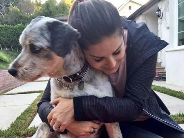 Sunny Leone With Her Dogs Pictures