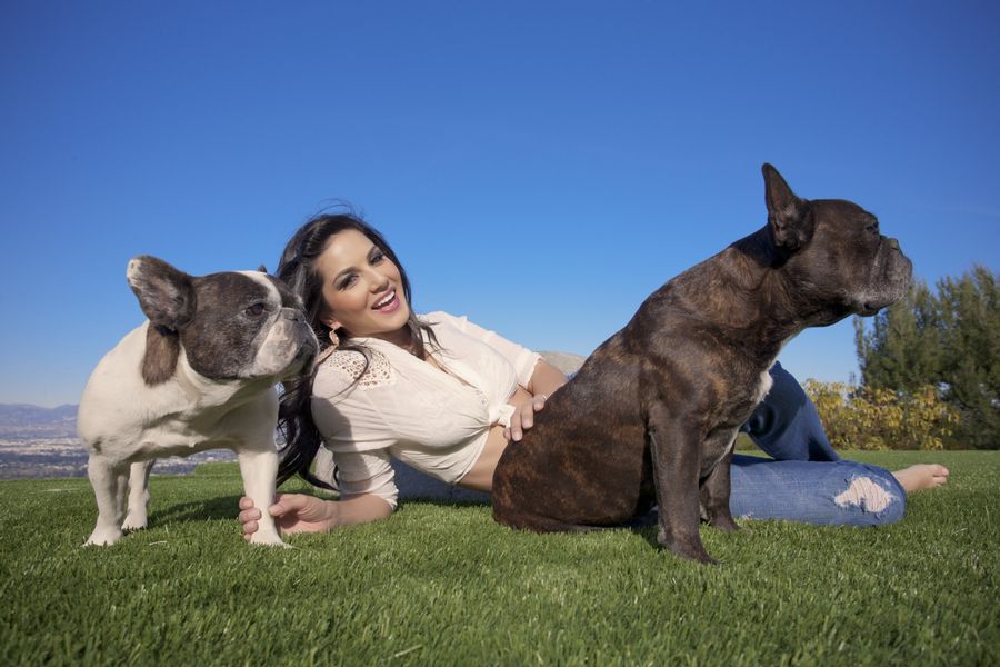 Sunny Leone With Her Dogs Pictures