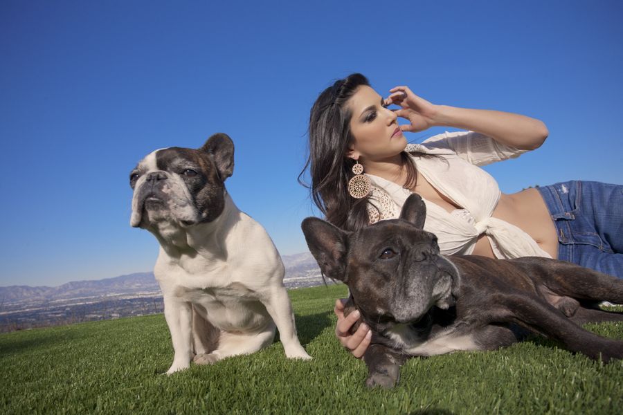 Sunny Leone With Her Dogs Pictures