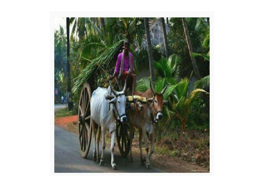 Sweet Memories of Childhood Days Photos