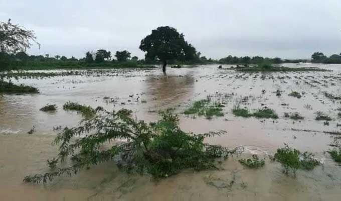 Telangana: Heavy rains lashes the city