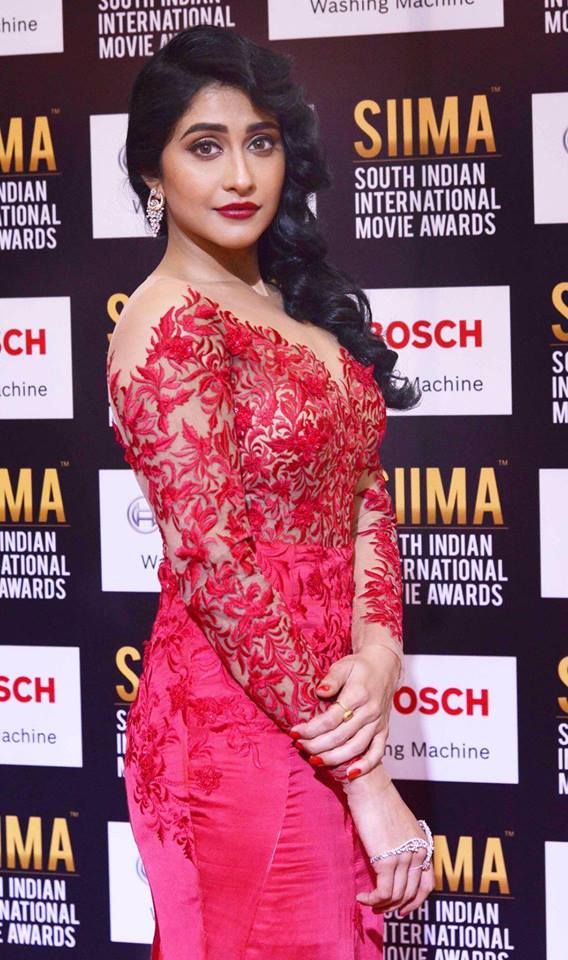 Telugu Celebrities at SIIMA2017 Photos
