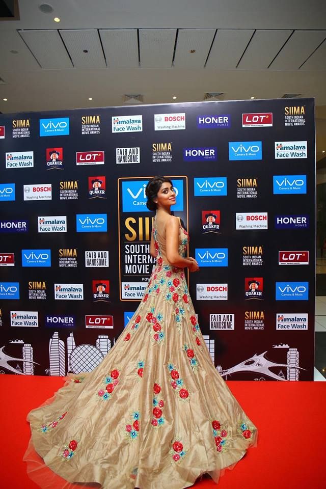 Telugu Celebrities at SIIMA2017 Photos