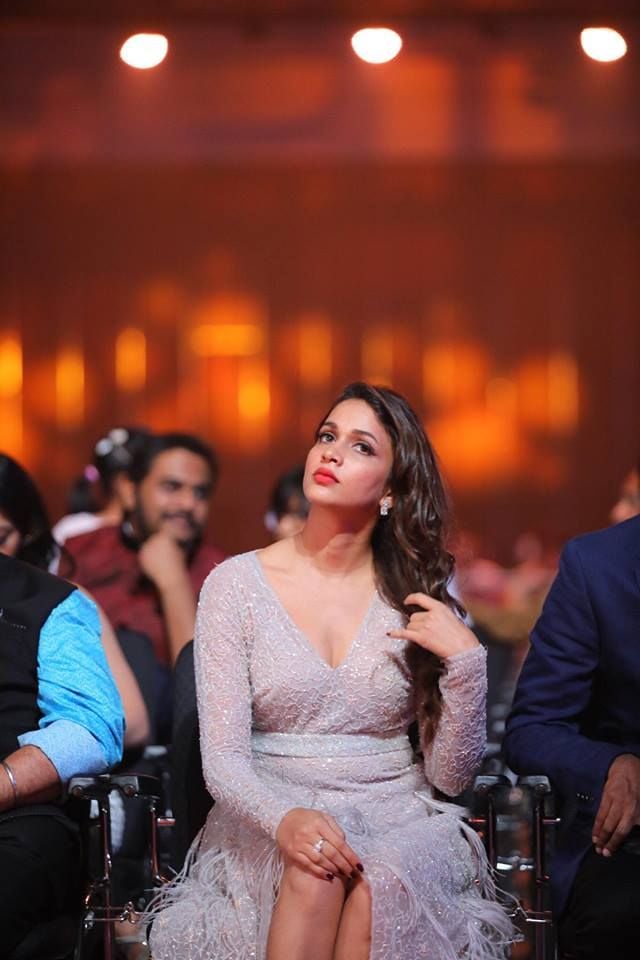 Telugu Celebrities at SIIMA2017 Photos