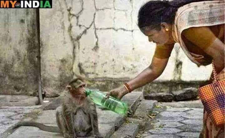 The Most Inspiring Photos That Prove Humanity Is Still Alive in India