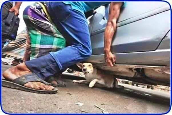 The Most Inspiring Photos That Prove Humanity Is Still Alive in India