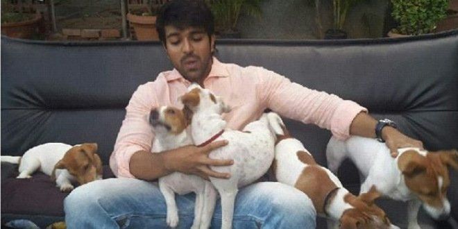 Tollywood Celebs Unseen Pictures