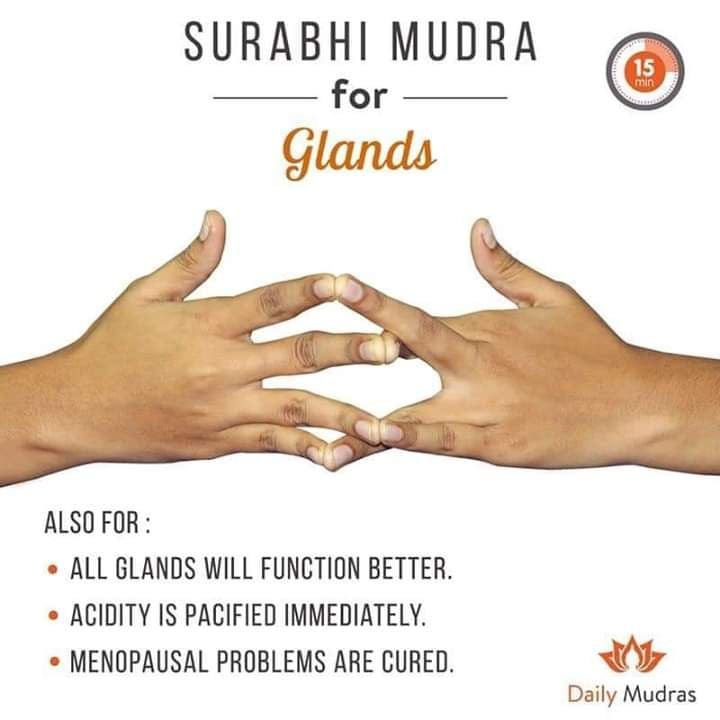 Various Yoga Mudra Photos