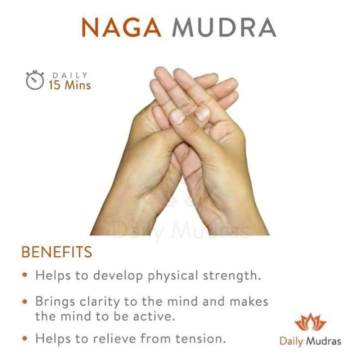 Various Yoga Mudra Photos