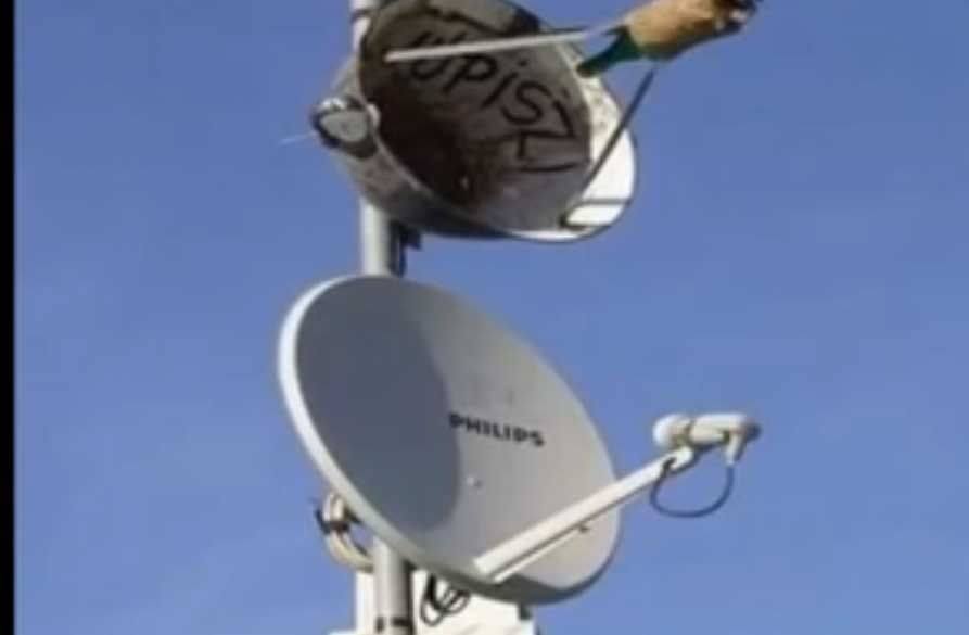 Very Funny Indian Photos