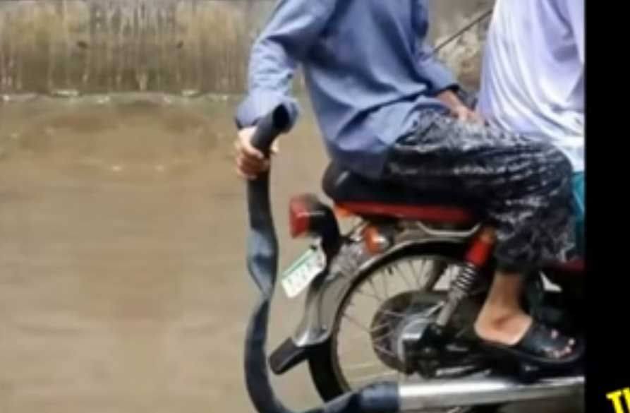 Very Funny Indian Photos