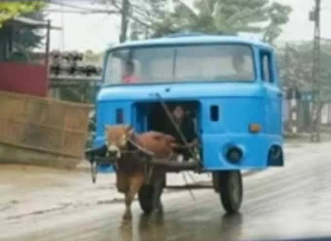 Very Funny Indian Photos