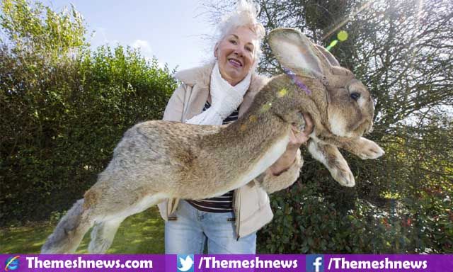 World Biggest Animals Rare Collection