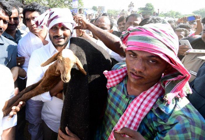 YS Jagan Praja Sankalpa Yatra Day 16 Photos