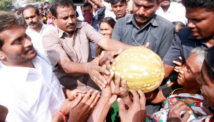YS Jagan Praja Sankalpa Yatra Day 44 Photos