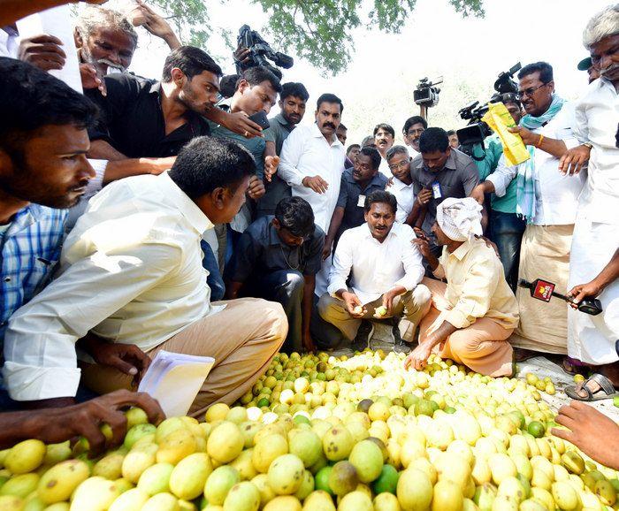 YS Jagan Praja Sankalpa Yatra Day-76 Photos