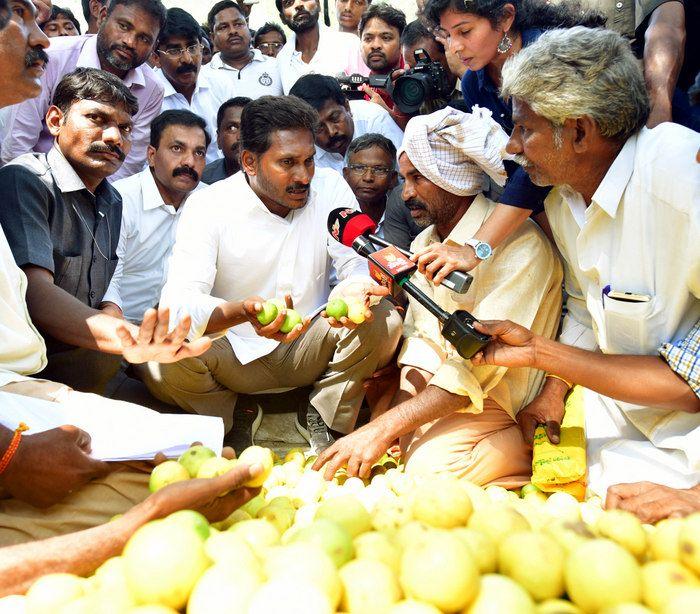 YS Jagan Praja Sankalpa Yatra Day-76 Photos